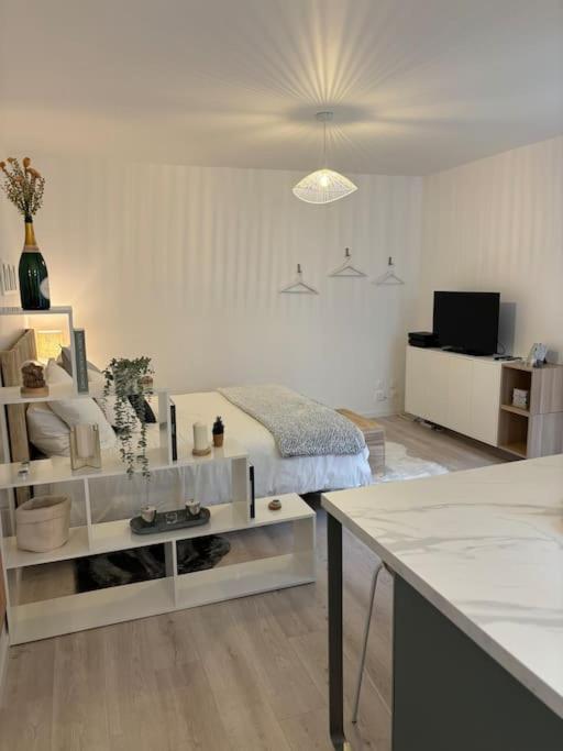 Apartment Le Cocon Scandinavo-champenois *